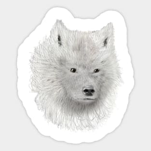 White Wolf Sketch Sticker